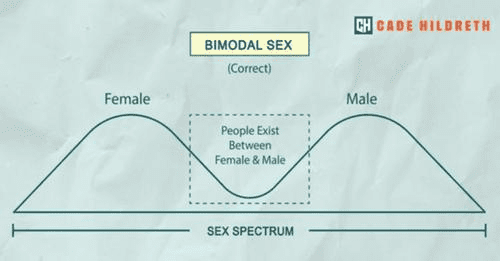 Diagrama, Escala de tiempo

Descripción generada automáticamente con confianza media
